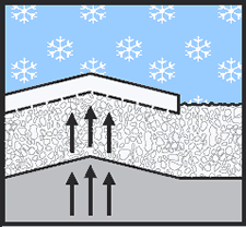 Scene 2