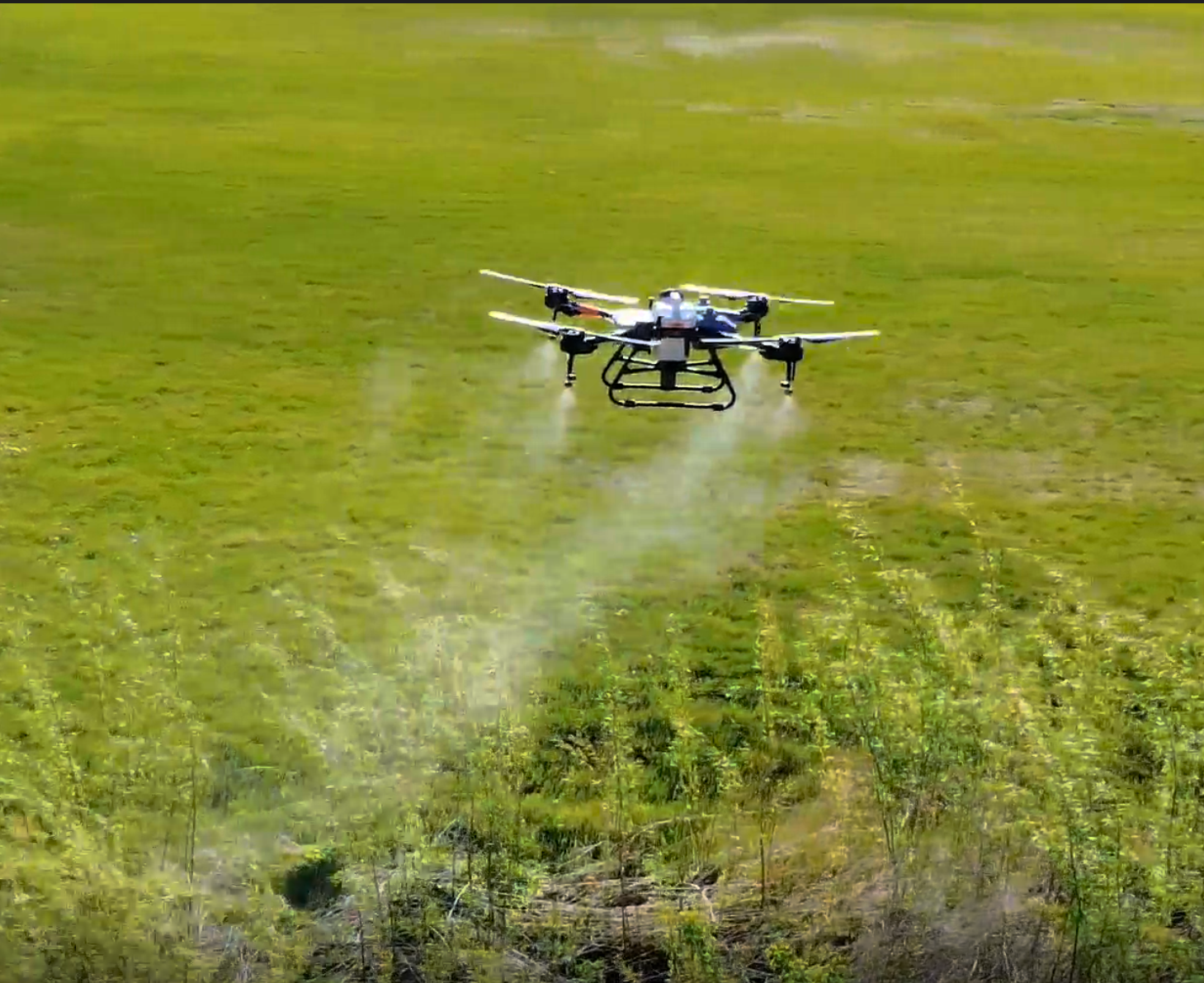 The DJI Agras T10 agricultural drone can carry a two-gallon herbicide load. Having to carry 16 pounds of liquid cuts into the flight time – the battery typically lasts for around nine minutes. Staff photo