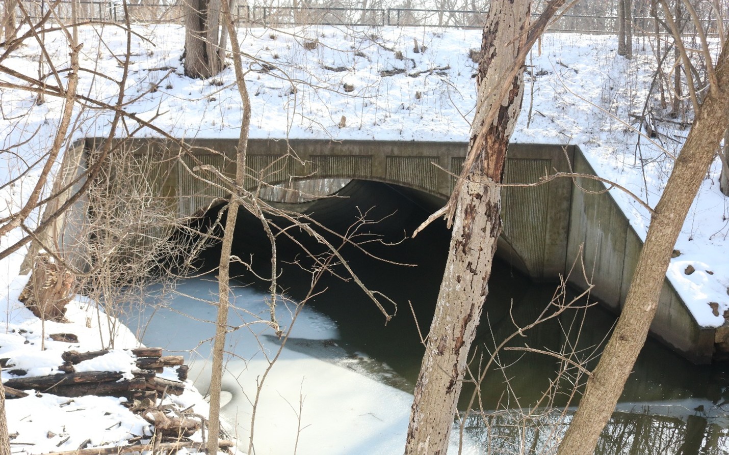 Bridge 95924