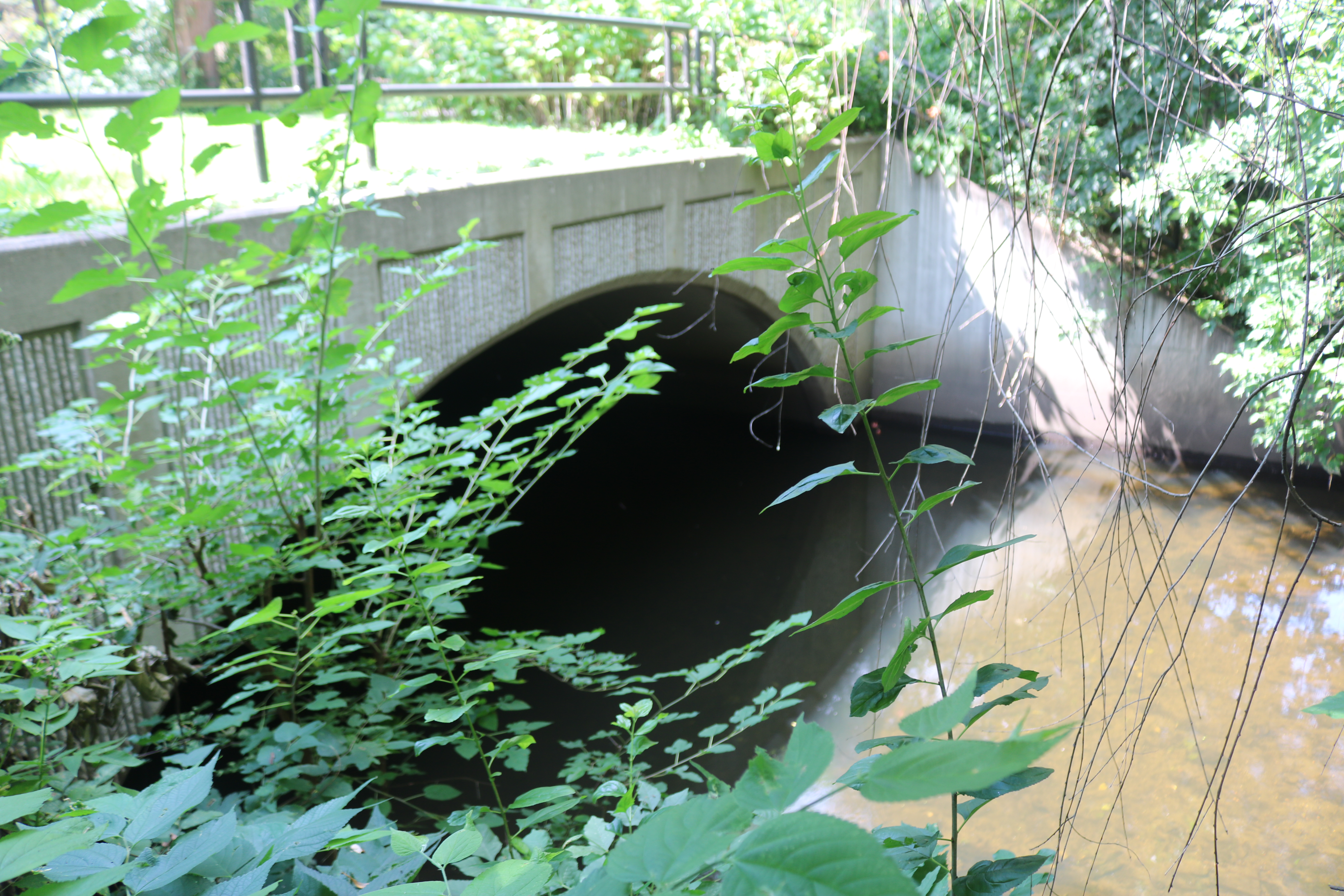 Queen Avenue Bridge