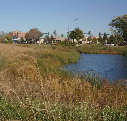 Photo of stormwater pond in urban development